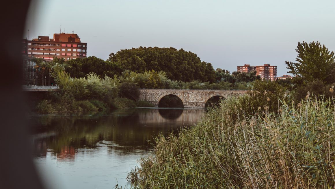 TALAVERA DE LA REINA