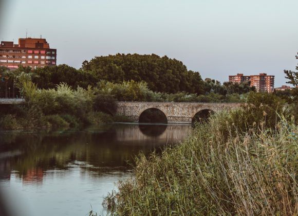 TALAVERA DE LA REINA