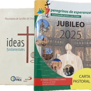 El MCC en la pastoral diocesana